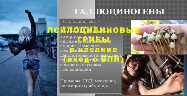2c-b Пересвет