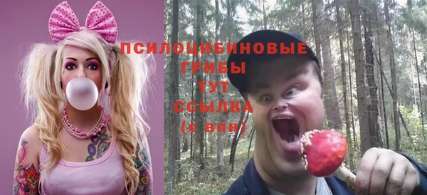 Альфа ПВП Переславль-Залесский