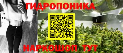 индика Апрелевка