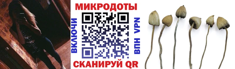 кракен tor  Асбест  Галлюциногенные грибы прущие грибы 