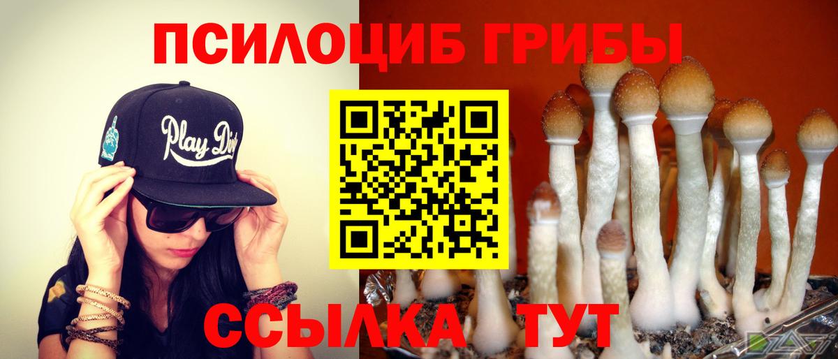 Галлюциногенные грибы Magic Shrooms  Псилоцибиновые грибы Psilocybine cubensis  Асбест 